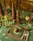 Holly Evergreen Tree