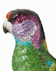 Copacabana The Hottest Bird North of Havana
