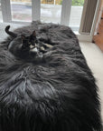 Luxury handmade Icelandic sheepskin rug, 100% natural black long fur runner, double back to back, premium quality, soft and stylish by Wildash London at brixbailey.com