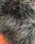Premium Icelandic Sheepskin Rug in Graphite Grey, long fur luxury, ethically sourced, stylish home decor by Wildash London at brixbailey.com