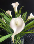 Silk Flower Arrangement White Calla Lilies
