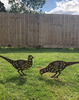 2 Rusty Metal Pheasants Garden Pheasants