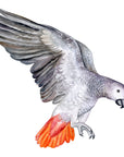 Big Wall sticker Set for kids, Flying Parrot