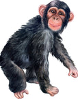 Big Wall sticker Set for kids, Chimp