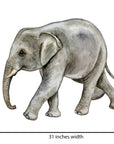 Big Wall sticker Set for kids, Baby elephant
