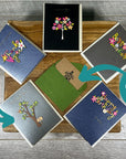 Plant Propagation Gift Set