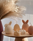 Easter Candles Collection