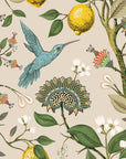 Lemon Grove Hummingbirds Peel and Stick Wallpaper - Removable Self-Adhesive for Nursery or Kitchen