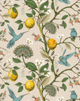 Lemon Grove Hummingbirds Peel and Stick Wallpaper - Removable Self-Adhesive for Nursery or Kitchen