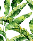 Banana Leaf Wallpaper Peel and Stick