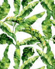 Banana Leaf Wallpaper Peel and Stick