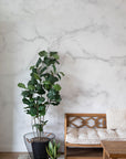 White Marble Removable Wallpaper | Stone Texture Wall Mural – Peel and Stick Wallpaper | Self Adhesive Marble Pattern Mural | Wall murals