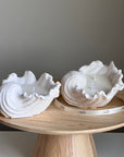 Conch Shell Soy Wax Candle | Jesmonite Vessel, Handmade-0