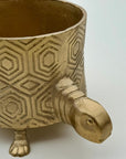 Tortoise Planter Pot | Brass Finish Indoor Succulent Holder