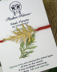 Real Cypress Leaf Silver Cord Bracelet, Handmade Nature Jewelry, Adjustable Botanical Cord Bracelet, Gift for Endurance & Hope, Gold or Sterling Silver 925