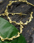 Mimosa Twig Hoop Earrings: Gold Plated Recycled Silver, Nature Inspired-3
