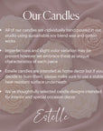 Bird Soy Candle | Handmade Home Decor, Unscented