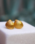 Sea shell earrings 14k Goldplated on sterling silver.