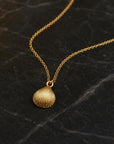 Minimalist Sea Shell Necklace, Handmade Beach Jewelry, Organic Sea Pendant, Gift for Growth & Renewal, Gold or Sterling Silver 925