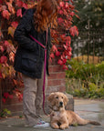 Loki Multiway Dog Lead in Khaki & Brown