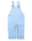 Ice Blue Snowflake Dungarees