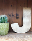 Gold Fat Font Metal Alphabet Letters – 5” or 12” Decorative Lettering A–Z