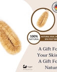 Japanese SPA Sisal Brush