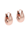 Medium Hoop Earrings in Silver or Rose Gold