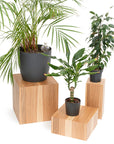 Floor Planter Podium Wooden Cubes (Set of 3)