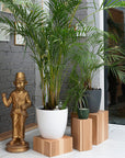 Floor Planter Podium Wooden Cubes (Set of 3)