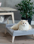 Pet Furniture Set in Anthracite Grey