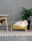 Honey Finish Table and Bed Set for Cats