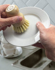 Dish Brush