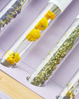 Assorted Flower Teastick Gift Set & Wood Tray
