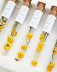Chrysanthemum Flower Tea Stick Gift Set