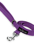 Tiny Trails Reflective 15mm Webbing Lead with Neoprene Handle Lining Purple