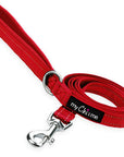 Tiny Trails Reflective 15mm Webbing Lead with Neoprene Handle Lining Red
