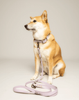 Kitsunē Multiposition dog lead - BioThane®