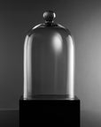 Large Vintage Glass Cloche Domes