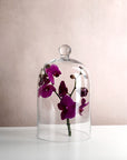 Large Vintage Glass Cloche Domes