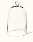 Large Vintage Glass Cloche Domes