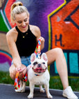 Red Graffiti Dog Leash for Daily Style and Walks