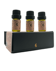 Geometric Glass Aroma Diffuser with Essential Oil Set