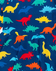Colorful Dinosaur Skater Dress in Organic Cotton with Long Sleeves, Eco-Friendly and Soft for Playful Adventures by Toby Tiger at brixbailey.com