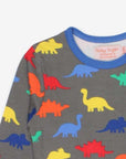 Soft Organic Cotton Long-Sleeve Dino Shirt for Kids with Snap Buttons, Eco-Friendly Gray Dinosaur Print by Toby Tiger at brixbailey.com