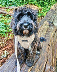 Luxe Adjustable Harness - Toffee Latte Petals