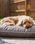 LUXURY ORTHOPAEDIC MEMORY FOAM DOG CRATE MATTRESS | GREY