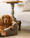 THE LINCOLN | LUXURY TWEED BOLSTER DOG BED