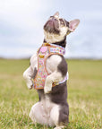 Pastel Petals - Supaw Strong™ Dog Harness (XS-XL)