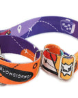 Martingale Travel Collar for Spirited Dogs